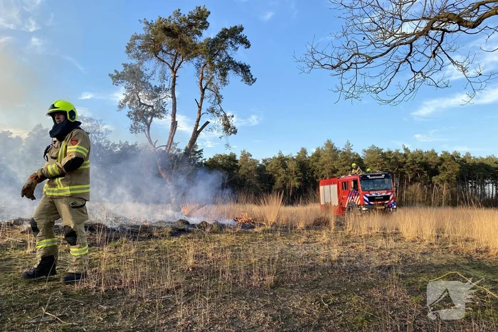 Brand op natuurterrein