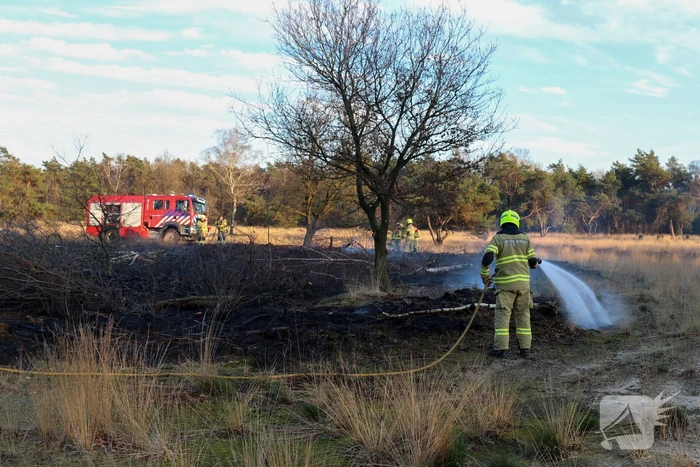 Brand op natuurterrein