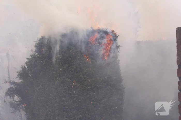 brand torenstraat schimmert