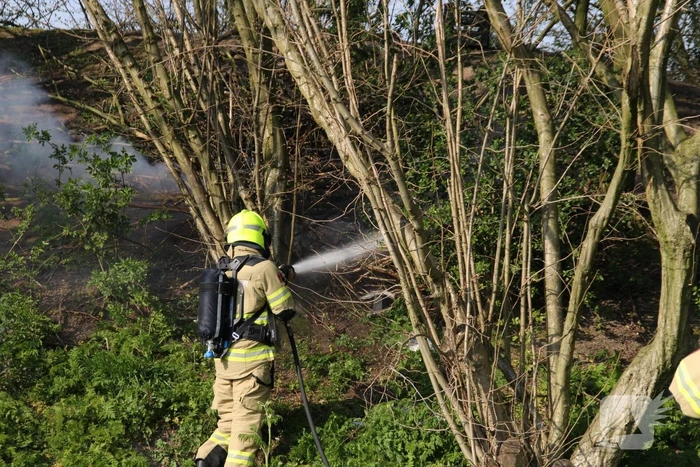Brand in bosschage