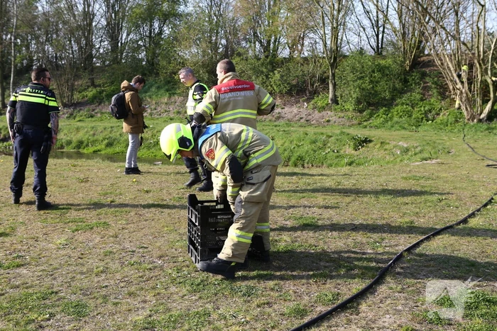 Brand in bosschage