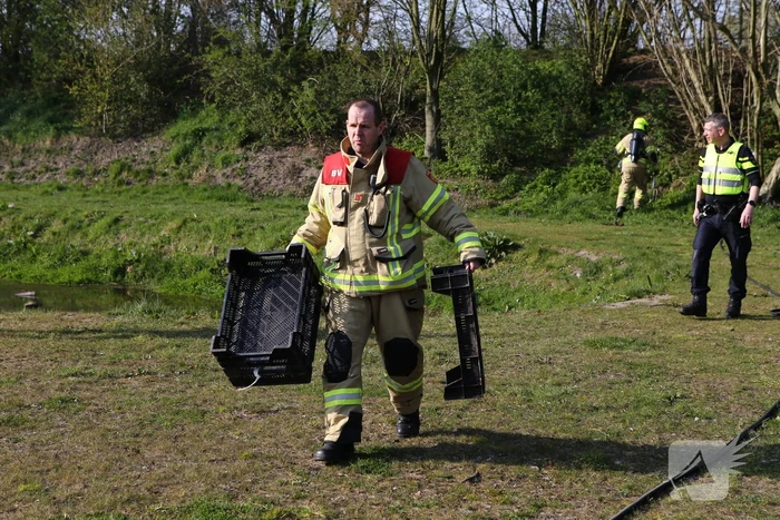 Brand in bosschage
