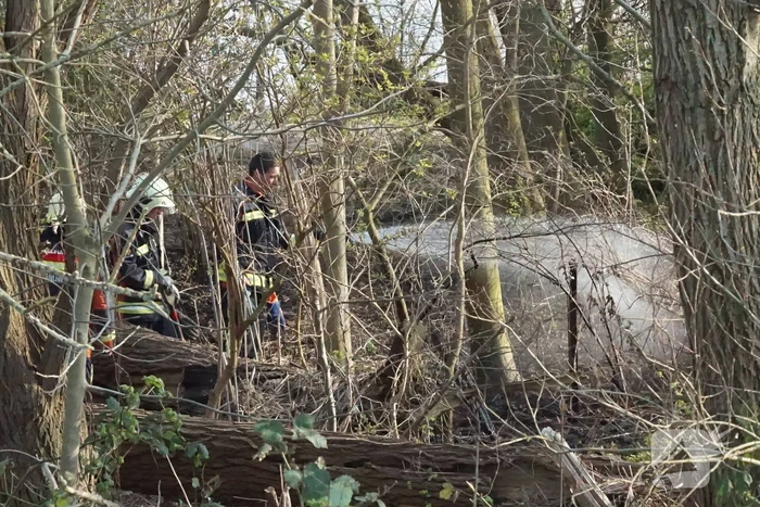 Bosschage langs rivier de Lek in brand