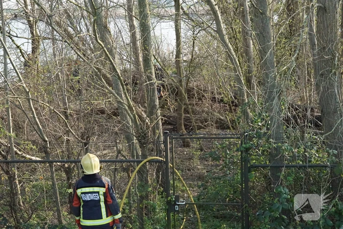 Bosschage langs rivier de Lek in brand