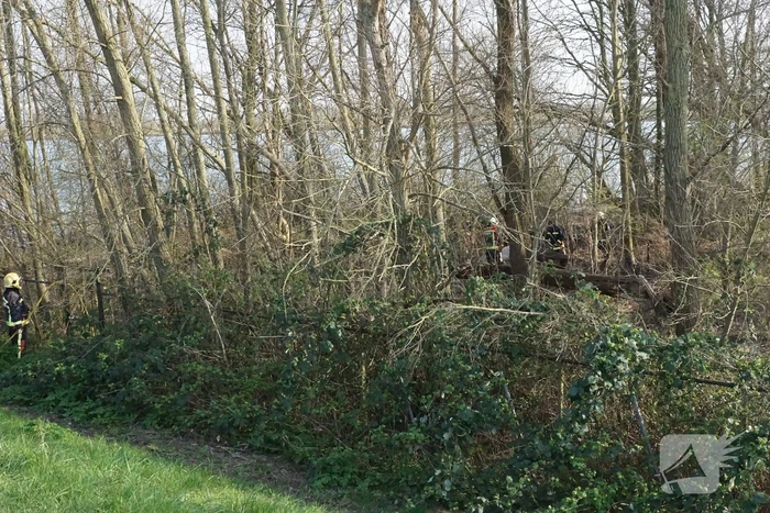 Bosschage langs rivier de Lek in brand