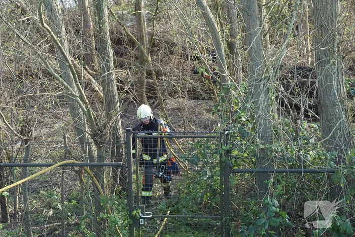 Bosschage langs rivier de Lek in brand