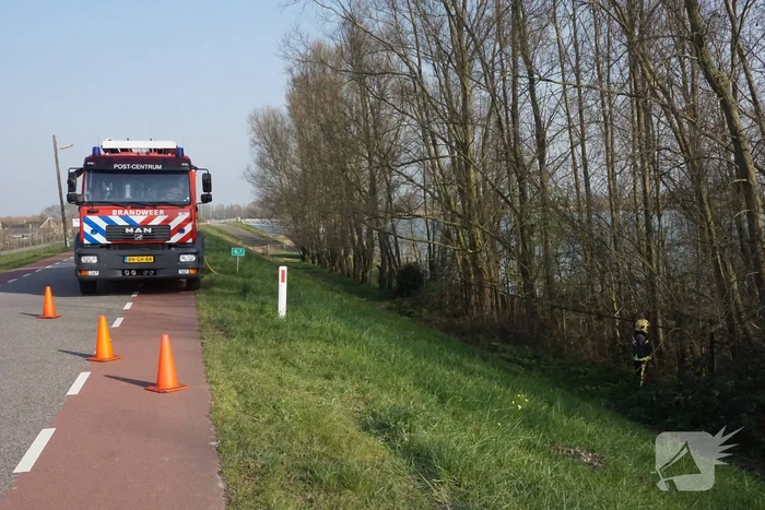 Bosschage langs rivier de Lek in brand