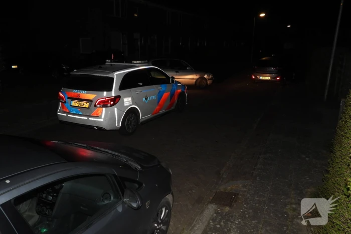 Automobilist ramt geparkeerde auto's