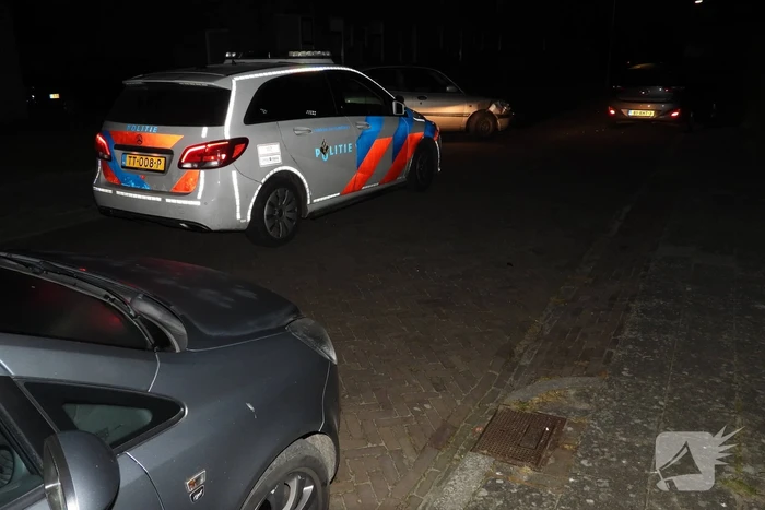 Automobilist ramt geparkeerde auto's