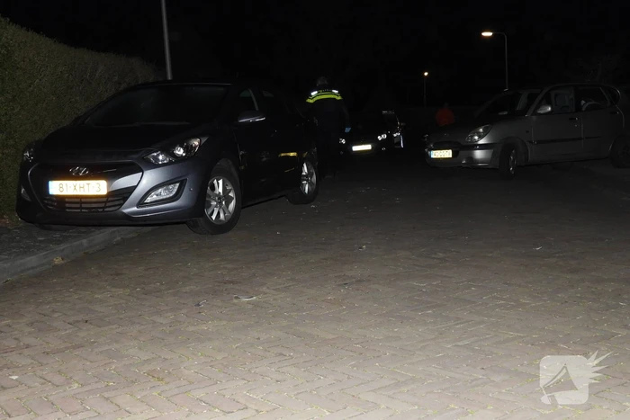Automobilist ramt geparkeerde auto's