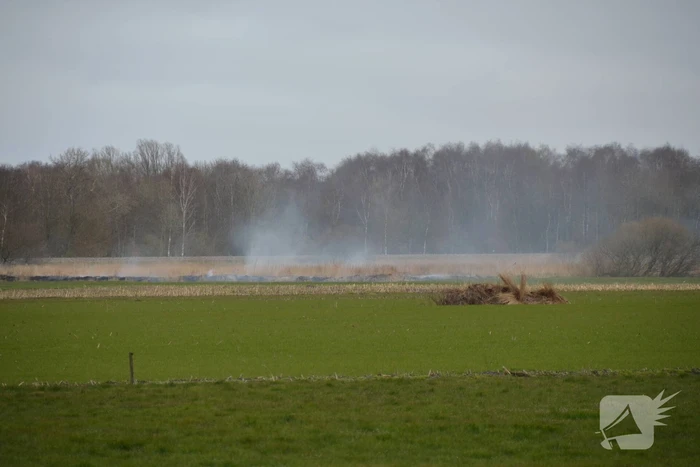 Rietveld illegaal afgebrand