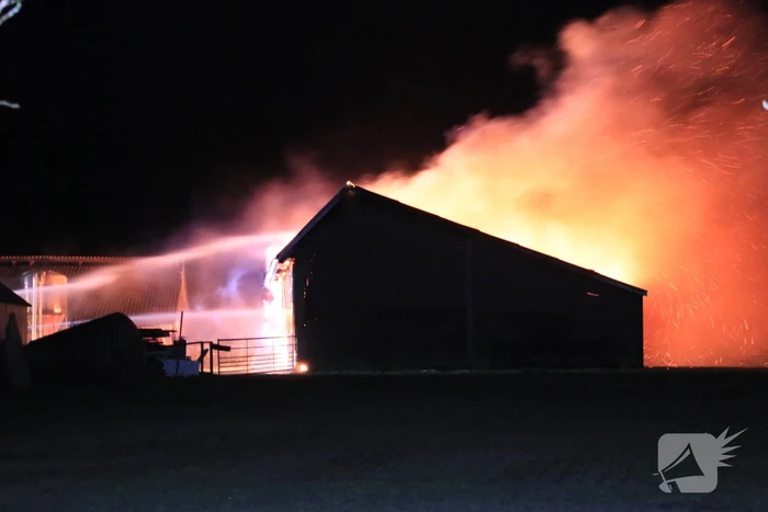 Grote brand in loods varkenshouderij
