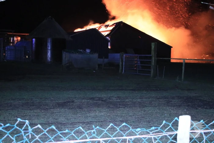 Grote brand in loods varkenshouderij