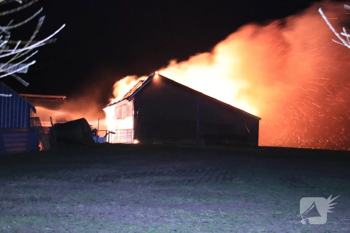 Grote brand in loods varkenshouderij