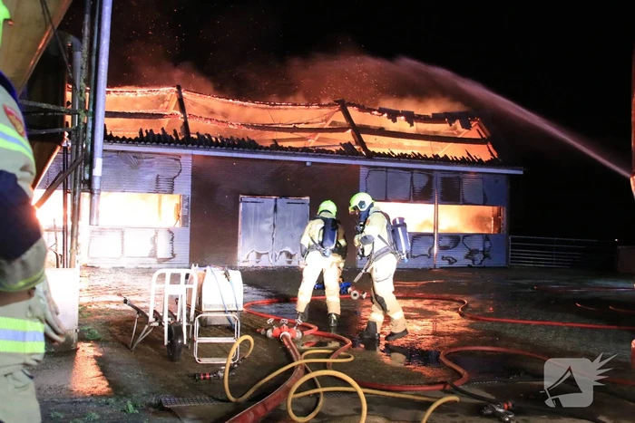 Grote brand in loods varkenshouderij