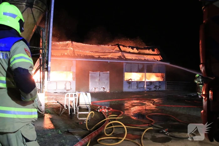 Grote brand in loods varkenshouderij