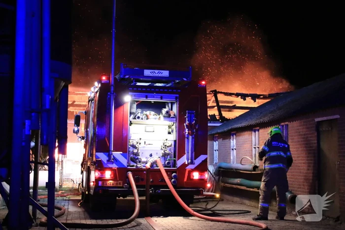 Grote brand in loods varkenshouderij