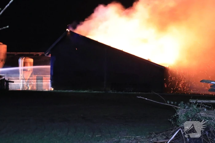 Grote brand in loods varkenshouderij