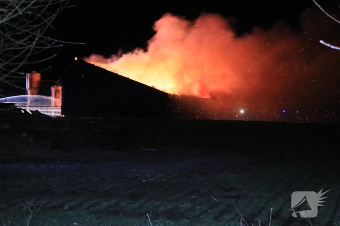 Grote brand in loods varkenshouderij