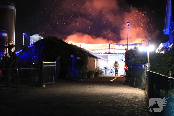 Grote brand in loods varkenshouderij