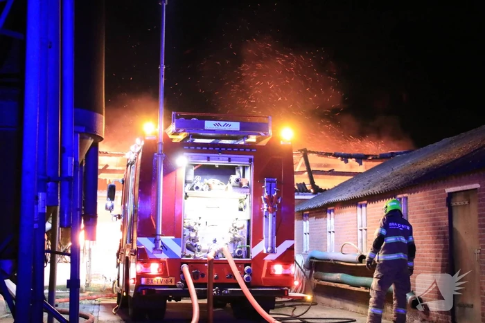 Grote brand in loods varkenshouderij