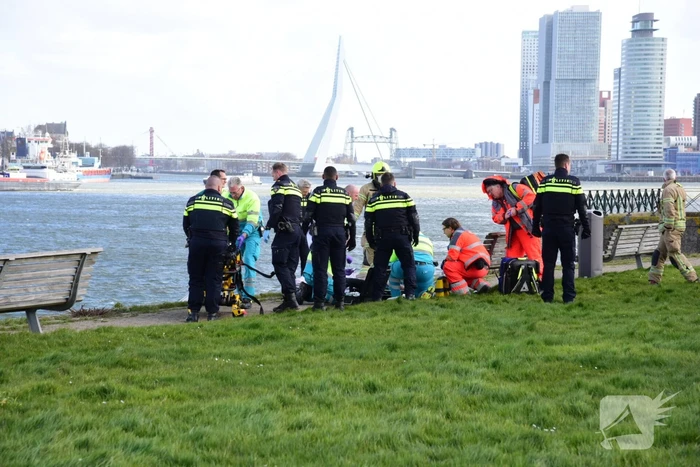 nieuws dokhavenpark rotterdam