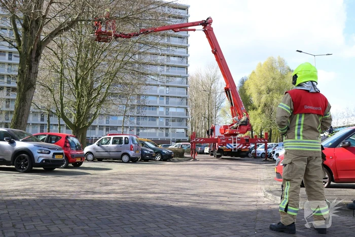 Grote tak dreigt op geparkeerde auto's te vallen