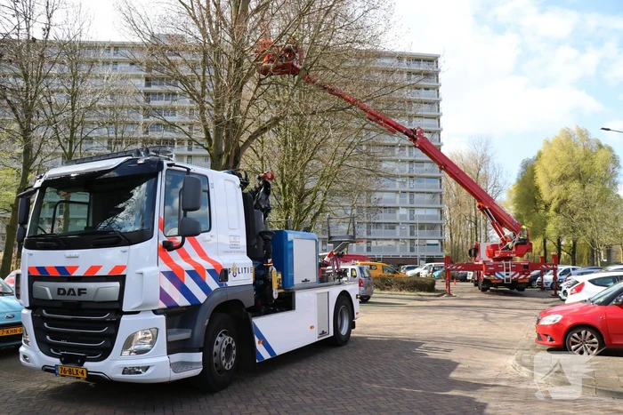 Grote tak dreigt op geparkeerde auto's te vallen