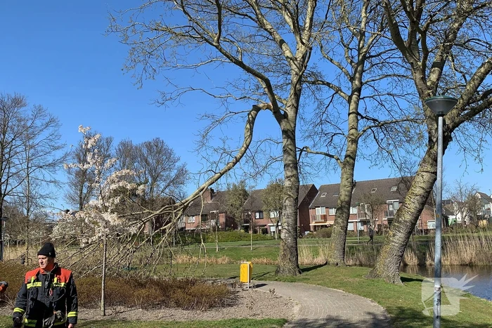 Flinke tak afgebroken door storm