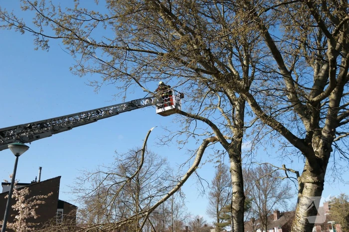 Flinke tak afgebroken door storm