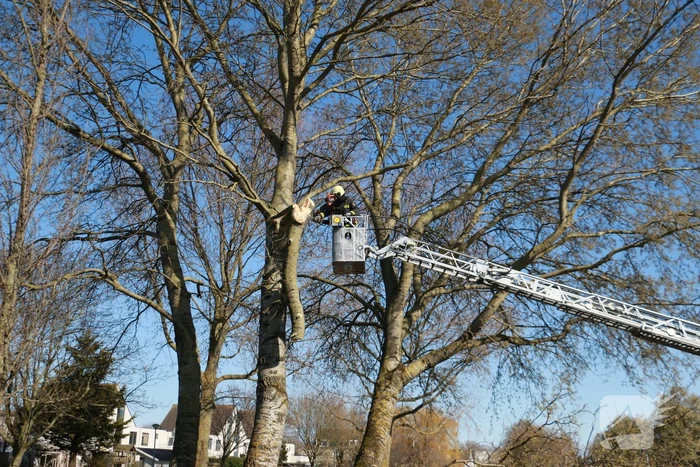 Flinke tak afgebroken door storm