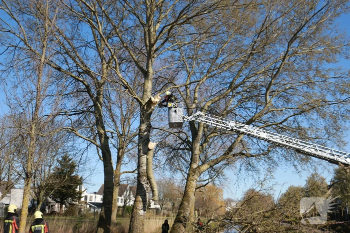 Flinke tak afgebroken door storm