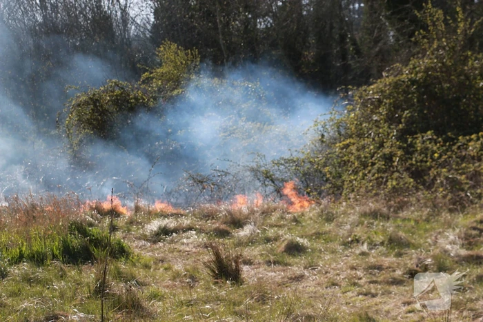 Stuk natuur achter bouwterrein in brand gestoken