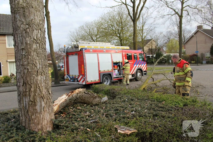 nieuws deken van dijkstraat schijndel