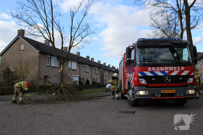 Grote tak breekt af door harde wind