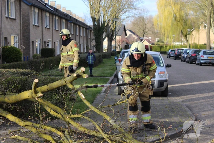 Grote tak breekt af door harde wind