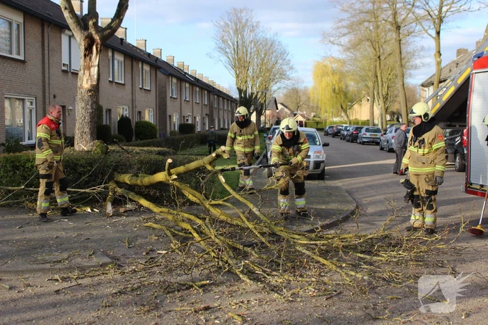 Grote tak breekt af door harde wind