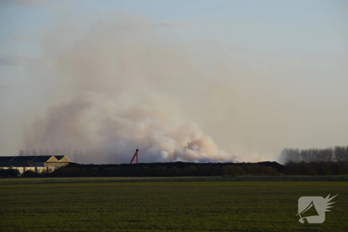 Flinke rookontwikkeling bij brand in composthoop