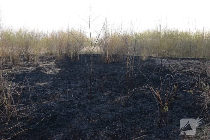 Stuk duingebied langs kust in brand