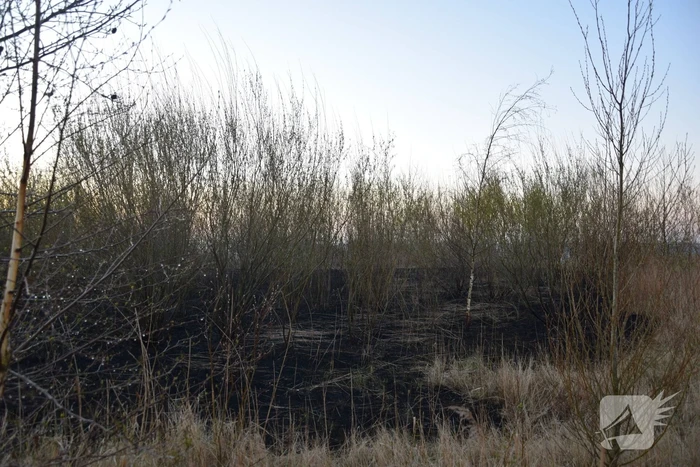 Stuk duingebied langs kust in brand