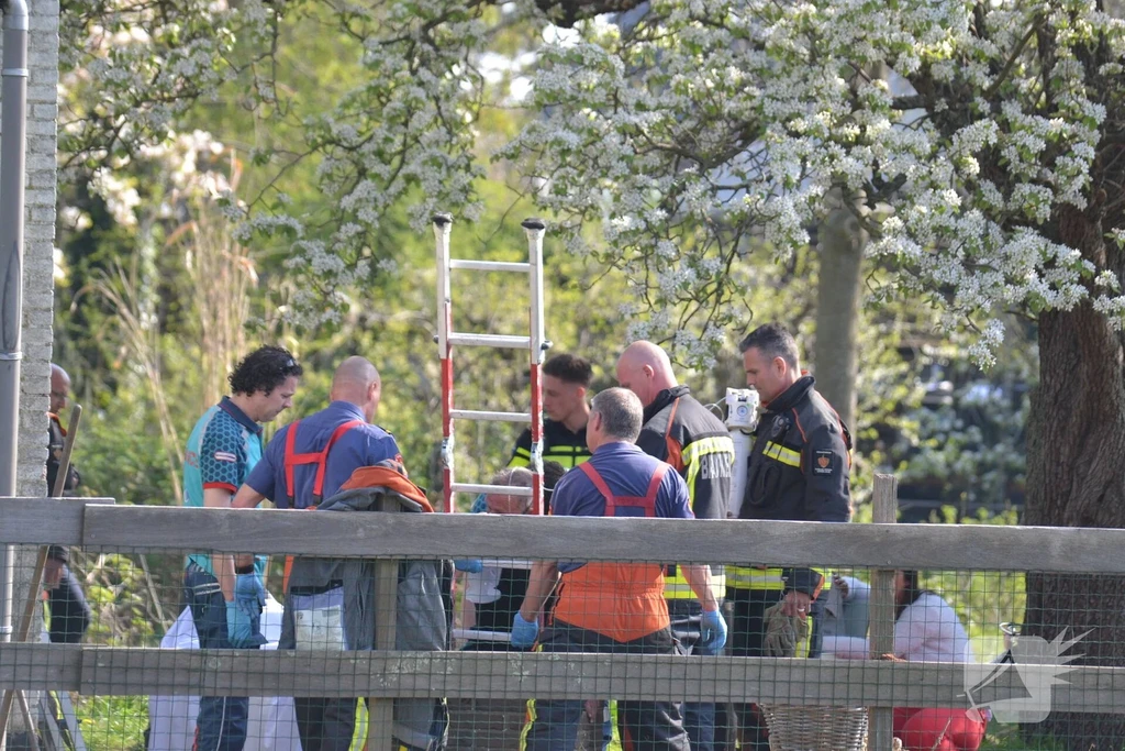 Besjeslaan Nieuws Leiden 