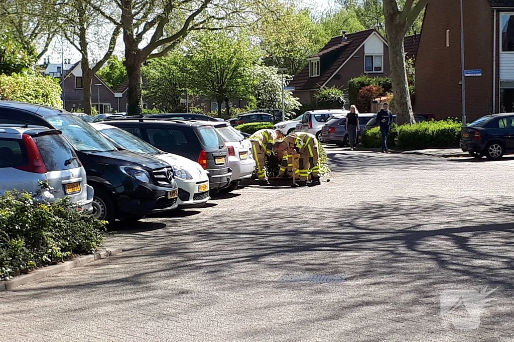 Kajuitmeen Harderwijk 112 