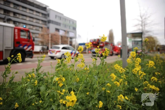 Eerbetoon aan zorgpersoneel Groene Hart Ziekenhuis