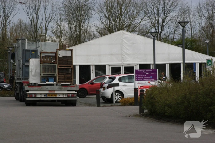Pathologie Friesland testen zorgmedewerkers en kwetsbaren op corona