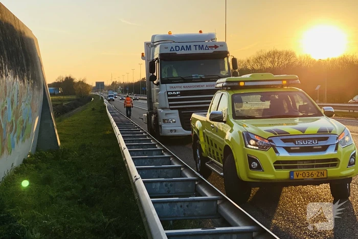 Hond loopt snelweg op
