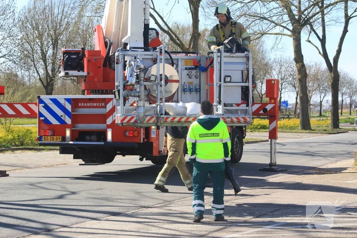 Voorbijgangers vinden dode zwaan in boom