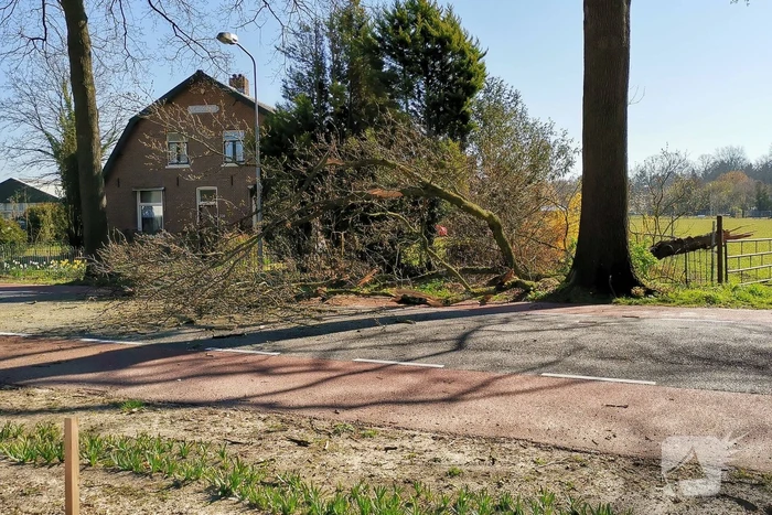 Afgebroken takken verspert weg