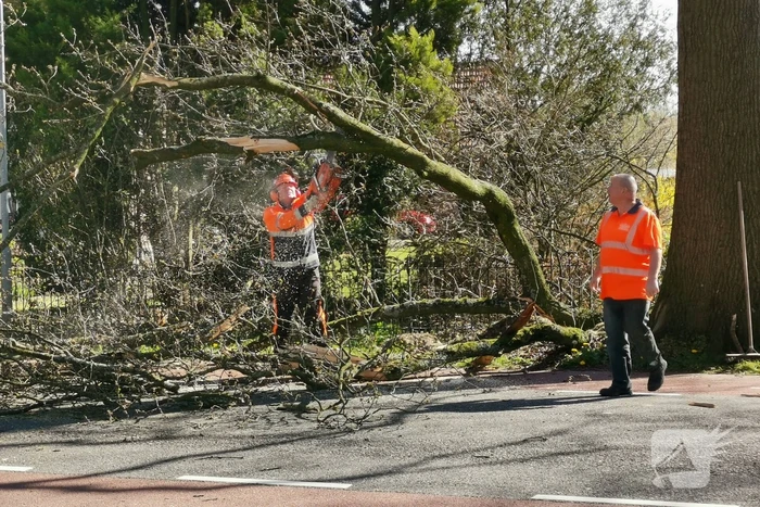 Afgebroken takken verspert weg
