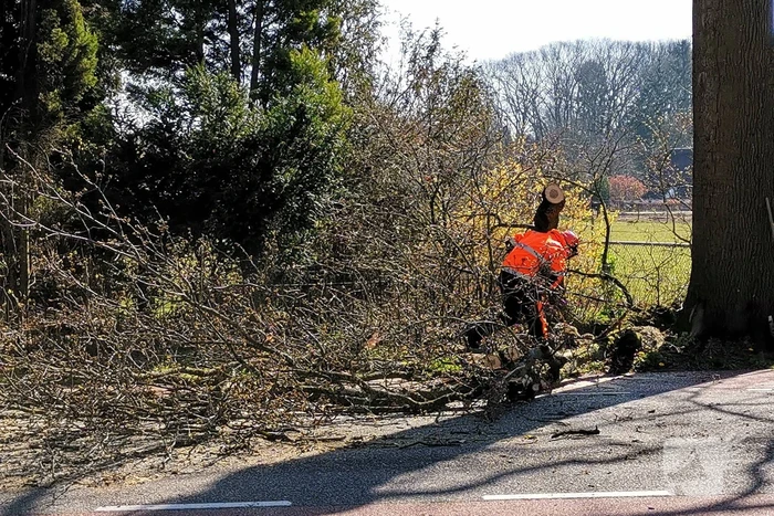 Afgebroken takken verspert weg
