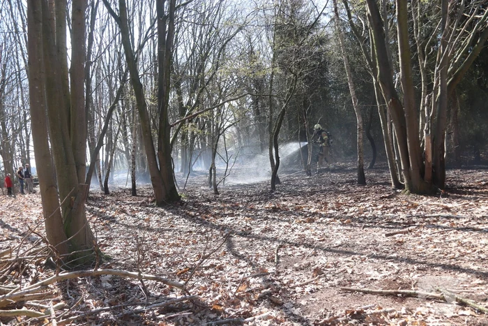 Brand in groot stuk bossage